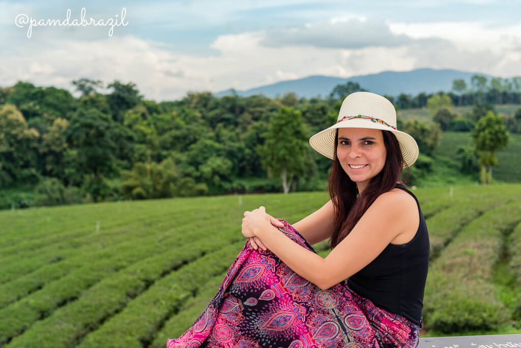Chiang Rai: Plantações de Chá