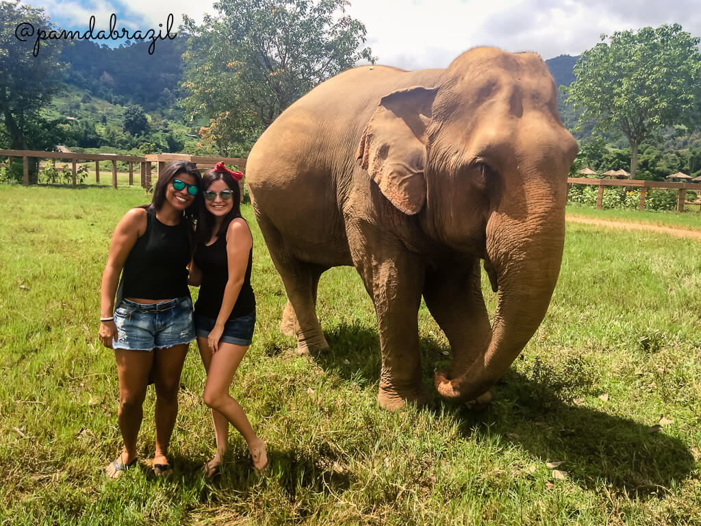 Elephant Nature Park em Chiang Mai